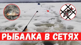 Браконьерские сети!!! Штрафной судак, рыбалка в глухозимье и безклëвье.