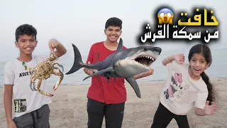 تولين خافت وهربت من سمكة القرش !! مين فاز في التحدي ؟