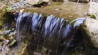 Wassertechnik am Teich - Teichpumpe auswählen