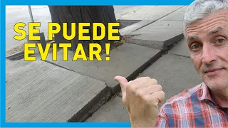 🌳 Cómo Evitar que las RAÍCES de Árboles Levanten el piso | 7 IDEAS que Funcionan!