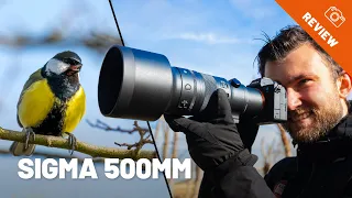 Review des SIGMA 500mm f/5.6 - Das LEICHTESTE seiner Art!