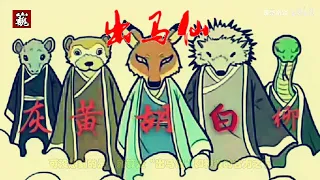 《重启之极海听雷》寄生在黑瞎子身上的“灵”到底是个什么生物？