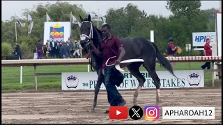 As Close as a Photo Finish can get in the 2023 Rondeau Bay Stakes