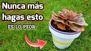 NUNCA MÁS HAGAS ESTO CON TUS MACETAS ! acabarás con todas tus plantas ! Huerto urbano y jardin