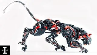 10 Amazing Robots That Really Exist