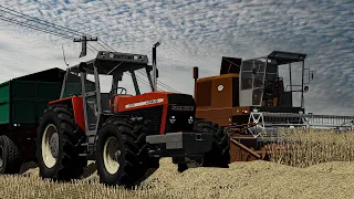 TYPOWO POLSKIE ŻNIWA NA OSINIE 🌾 [BIZON & URSUS] 🔥 FS22 🎥