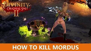 How to kill Mordus - Tips & tricks (Divinity Original Sin 2)