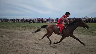 Наадым-2023. Аът чарыжындан тускай видео-репортажы. 4k