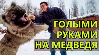 Зверь напал на человека / Beast attacked the man. Bear attack on a person.