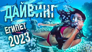 ДАЙВИНГ и Снорклинг в Египте 2023 / Подводный мир КРАСНОГО моря / ОТДЫХ в Хургаде 2023