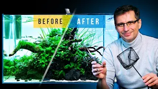 Fixing a CLADOPHORA ALGAE Infested Aquarium!