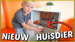 LUAN KRiJGT EEN HUiSDiER 🐹 | Bellinga Vlog #1471