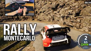 Rally MonteCarlo & Toyota Yaris Best Combo