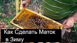 Пасека #52 Как сделать маток в зиму ? Осений вывод маток. Пасека.Пчеловодство