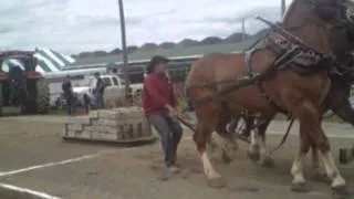 Binbrook Fair Sept 14 2014