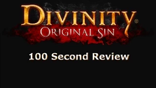 Divinity Original Sin Review in 100 Seconds