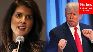 'He's Not Qualified To Be President': Haley Lays Into Trump Over NATO Comments At Campaign Event