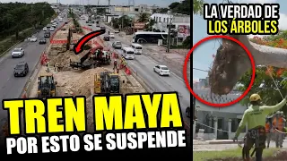 Tren Maya: Revela el porqué del gran cambio, demuestran la verdad de los “árboles talados”