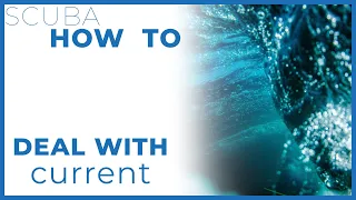 Scuba How To Deal with Current #Scuba #HowTo