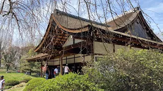 Shofuso Japanese Garden in Philadelphia 🇯🇵