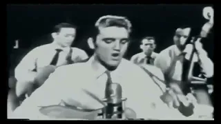 Elvis Presley - Blue Suede Shoes (Dorsey Brothers Stage Show: February 11, 1956)