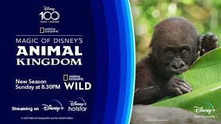 Magic of Disney's Animal Kingdom (Season 2) Teaser on National Geographic Wild (Verison 2)