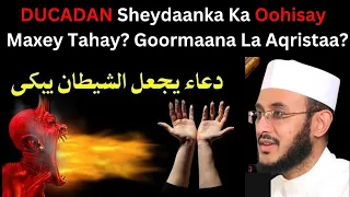 DUCADAN Sheydaanka Ka Oohisay 😭 Maxey Tahay? Goormaana La Aqristaa?:::: Dr Ahmed Al-Yamaani