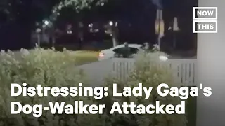 Lady Gaga's Dog Walker Attack Caught on Camera