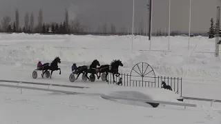 9 Февраля 2024   5 Заезд ПРИЗ РУССКАЯ ЗИМА