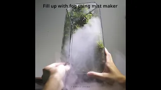 Behind the scenes of making a living moss wall terrarium with fog.