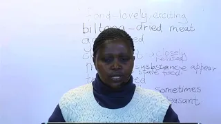 Primary English - Reading Comprehension   (Standard 5) - By Ms T. Dlamini