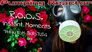 R.O.O.S. - Instant Moments (Phantom Bootleg)