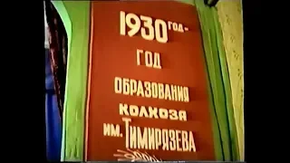 Тимерязева 1990г.  День колхозника