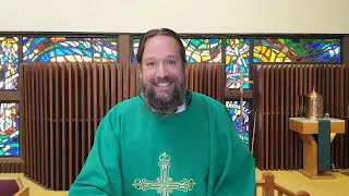 Sunday Catholic Mass for July 30th 2023 with Father Dave & Cats in heaven at the end