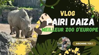 PAIRI DAIZA LE MEILLEUR ZOO D'EUROPE