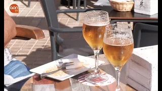 Beber cerveza todos los días sin riesgo para la salud.