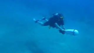 Torpedo Diving Maui