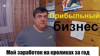 Мой заработок на кроликах за год . Прибыльный бизнес. кролиководство как заработать бизнес идеи