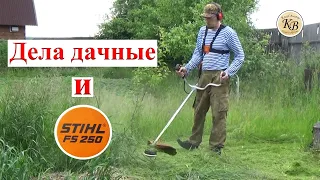 Shtil FS250 в работе // дела дачные!