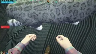 A Big Cat attacks Bubbles in the NoPixel Casino.