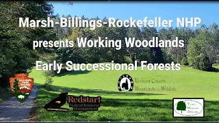 Working Woodlands - Early Successional Forests