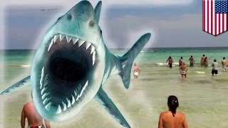 Акула напала на 17-летнего юношу на пляже Северной Каролины