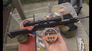 Plombs Hyperprotec Hyper Points - Stoeger RX20 TAC Dynamic