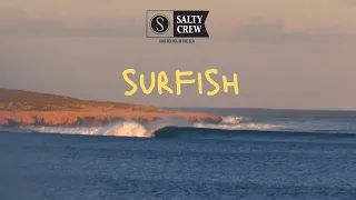 Grayson Hinrichs - SURFISH - Australian Surf Film