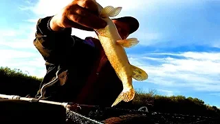Рыбалка на реке Тобол, в пагоне за зубастой