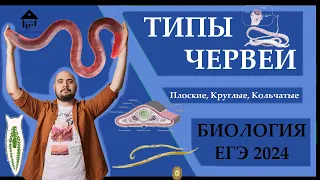 Типы ЧЕРВЕЙ для ЕГЭ 2024 |ЕГЭ БИОЛОГИЯ|Freedom|