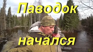 Поездка в таёжный посёлок. Паводок начался. Распаковка посылки "МОЙ ЧАЙ". Проверил дорогу бывшей УЖД