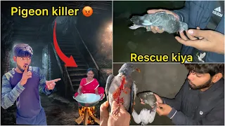 Raat ko rescue kiya 🕊️ ( Pigeon rescue mission failed 😞)