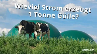 Can you generate electricity with 1 ton of liquid manure in biogas?
