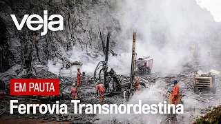 Os desafios e impactos da construção da Ferrovia Transnordestina